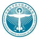 枫以视频